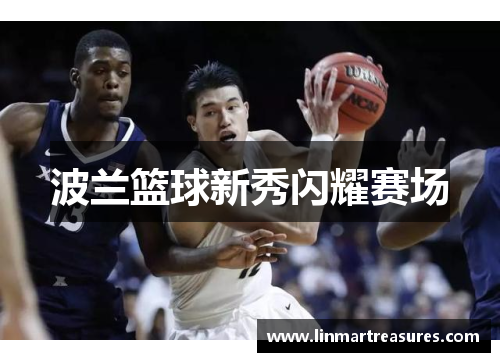 波兰篮球新秀闪耀赛场